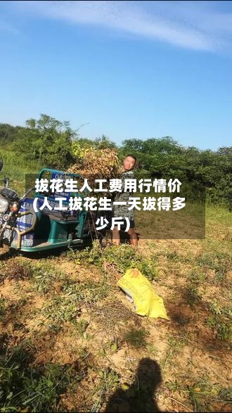 拔花生人工费用行情价(人工拔花生一天拔得多少斤)-第1张图片