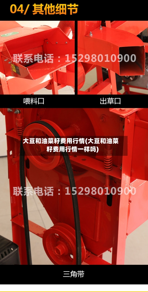 大豆和油菜籽费用行情(大豆和油菜籽费用行情一样吗)-第1张图片