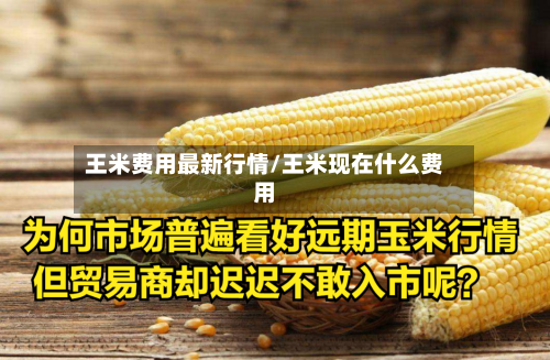 王米费用最新行情/王米现在什么费用-第1张图片