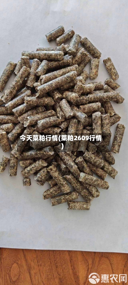 今天菜粕行情(菜粕2609行情)-第1张图片