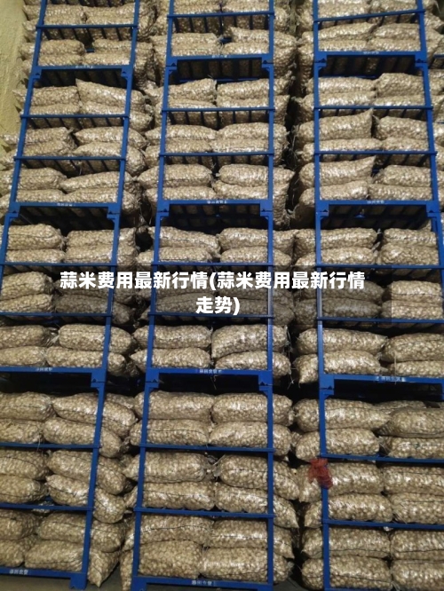 蒜米费用最新行情(蒜米费用最新行情走势)-第1张图片