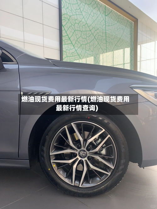 燃油现货费用最新行情(燃油现货费用最新行情查询)-第1张图片