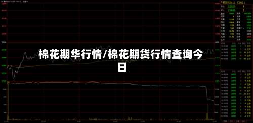 棉花期华行情/棉花期货行情查询今日-第1张图片