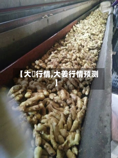 【大祘行情,大姜行情预测】-第1张图片