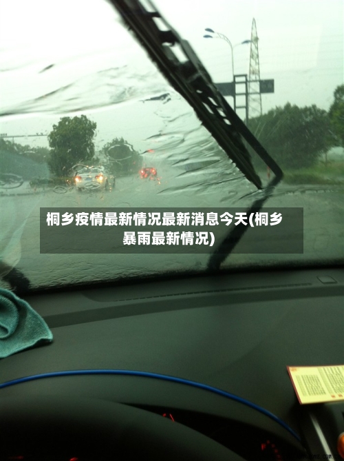 桐乡疫情最新情况最新消息今天(桐乡暴雨最新情况)-第1张图片