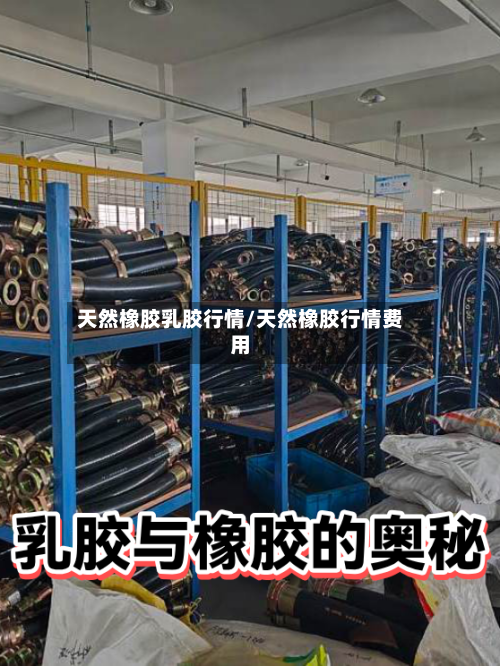 天然橡胶乳胶行情/天然橡胶行情费用-第1张图片