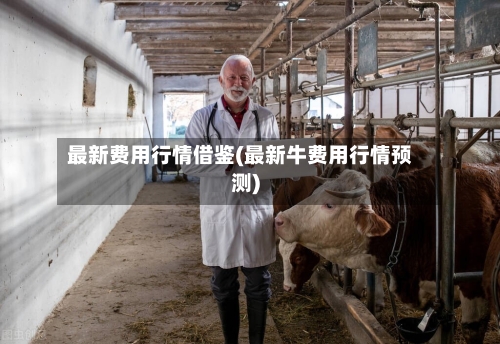 最新费用行情借鉴(最新牛费用行情预测)-第1张图片