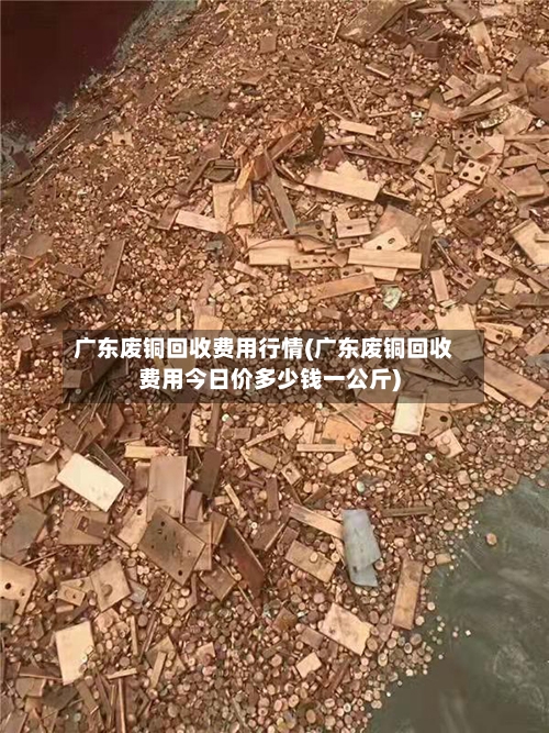 广东废铜回收费用行情(广东废铜回收费用今日价多少钱一公斤)-第1张图片