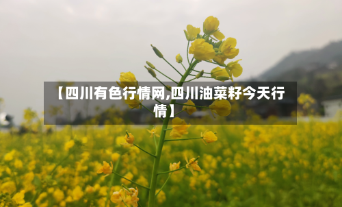 【四川有色行情网,四川油菜籽今天行情】-第1张图片