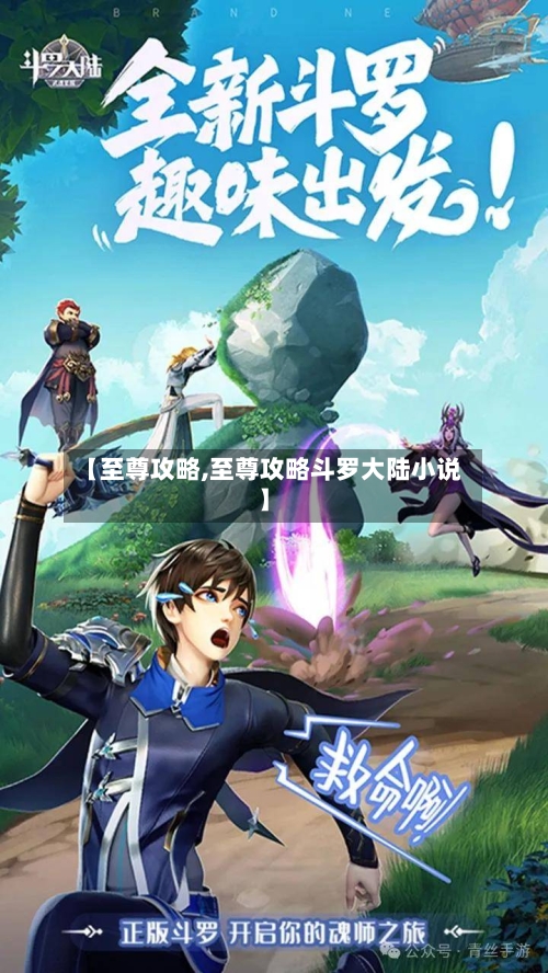 【至尊攻略,至尊攻略斗罗大陆小说】-第1张图片