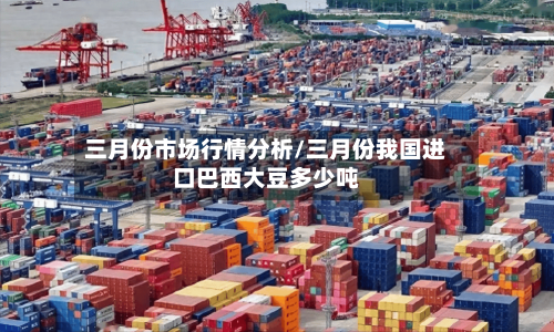 三月份市场行情分析/三月份我国进口巴西大豆多少吨-第1张图片