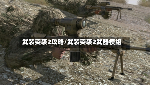 武装突袭2攻略/武装突袭2武器模组-第1张图片