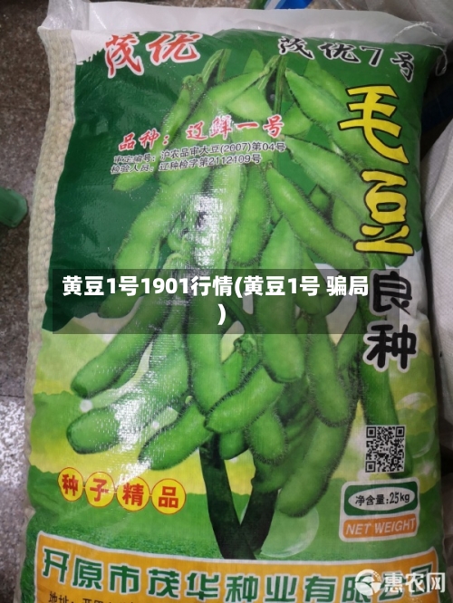 黄豆1号1901行情(黄豆1号 骗局)-第1张图片