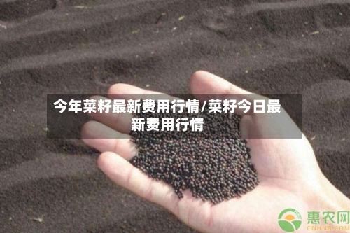 今年菜籽最新费用行情/菜籽今日最新费用行情-第1张图片