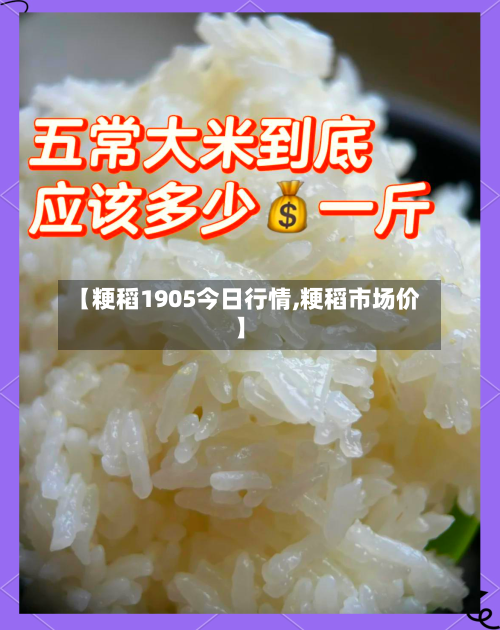 【粳稻1905今日行情,粳稻市场价】-第1张图片