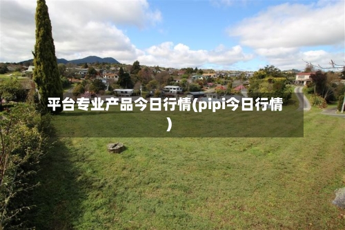 平台专业产品今日行情(pipi今日行情)-第1张图片