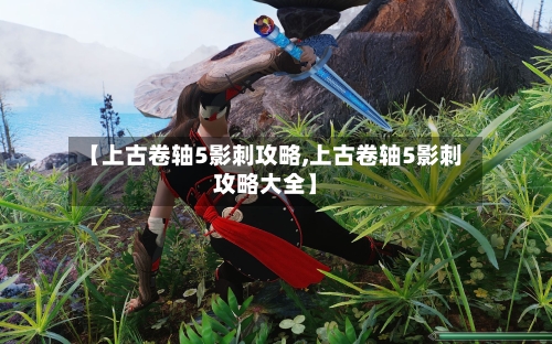 【上古卷轴5影刺攻略,上古卷轴5影刺攻略大全】-第1张图片
