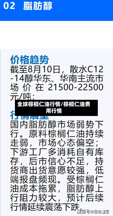 全球棕榈仁油行情/棕榈仁油费用行情-第1张图片