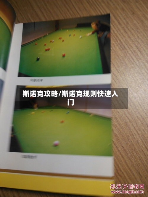 斯诺克攻略/斯诺克规则快速入门-第1张图片