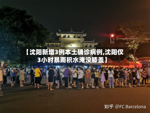 【沈阳新增3例本土确诊病例,沈阳仅3小时暴雨积水淹没膝盖】-第1张图片