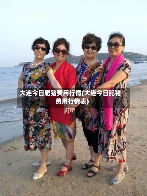 大连今日肥猪费用行情(大连今日肥猪费用行情表)-第1张图片