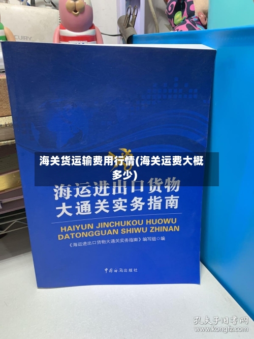 海关货运输费用行情(海关运费大概多少)-第1张图片