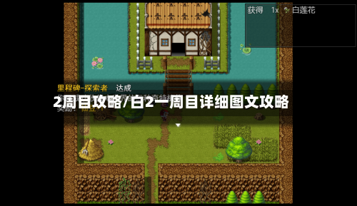 2周目攻略/白2一周目详细图文攻略-第1张图片