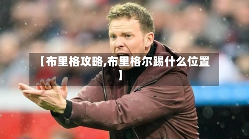 【布里格攻略,布里格尔踢什么位置】-第1张图片