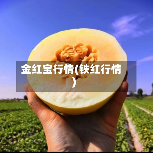 金红宝行情(铁红行情)-第1张图片