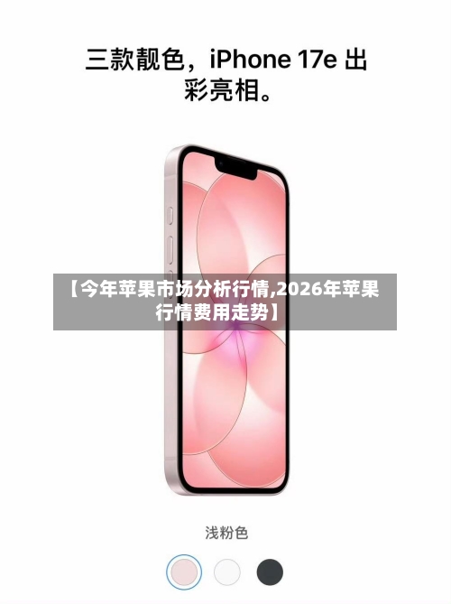 【今年苹果市场分析行情,2026年苹果行情费用走势】-第1张图片