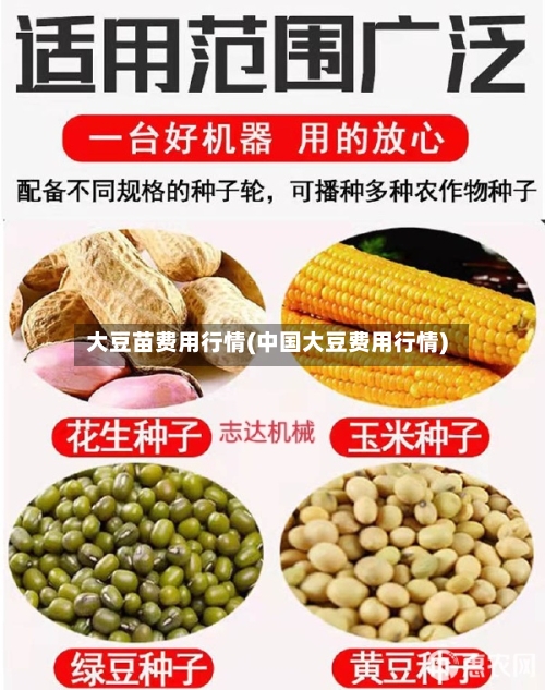 大豆苗费用行情(中国大豆费用行情)-第1张图片
