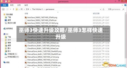 巫师3快速升级攻略/巫师3怎样快速升级-第1张图片