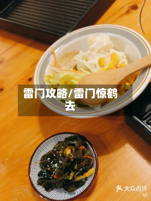 雷门攻略/雷门惊鹤去-第1张图片