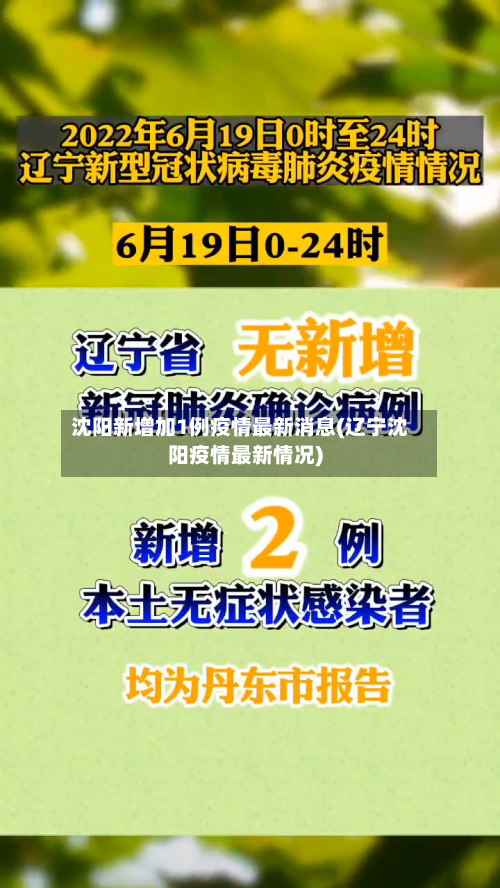 沈阳新增加1例疫情最新消息(辽宁沈阳疫情最新情况)-第1张图片