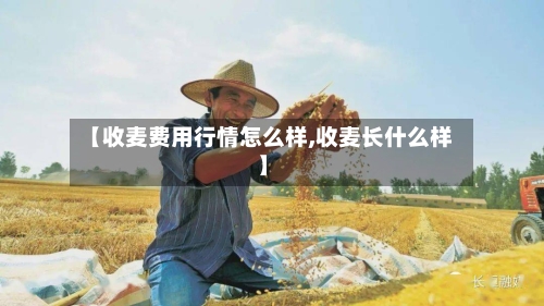 【收麦费用行情怎么样,收麦长什么样】-第1张图片
