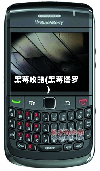 黑莓攻略(黑莓塔罗)-第1张图片