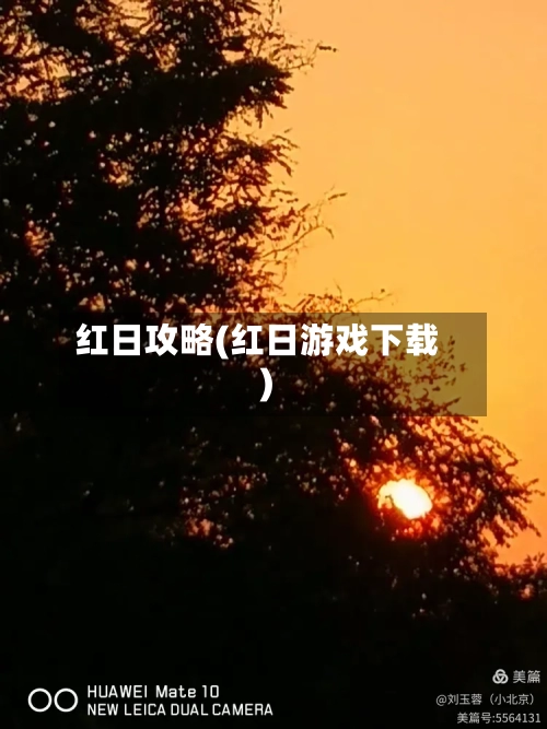 红日攻略(红日游戏下载)-第1张图片