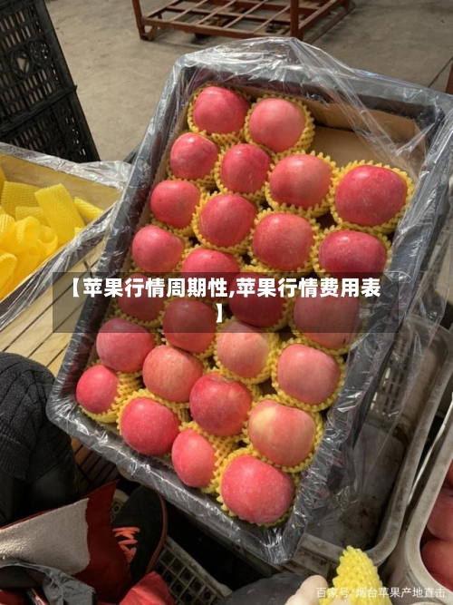 【苹果行情周期性,苹果行情费用表】-第1张图片