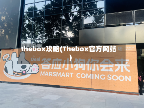 thebox攻略(Thebox官方网站)-第1张图片