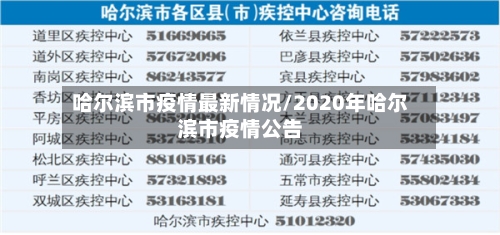 哈尔滨市疫情最新情况/2020年哈尔滨市疫情公告-第1张图片