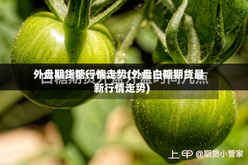 外盘期货糖行情走势(外盘白糖期货最新行情走势)-第1张图片