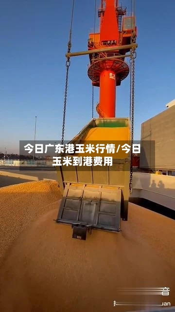 今日广东港玉米行情/今日玉米到港费用-第1张图片