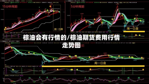 棕油会有行情的/棕油期货费用行情走势图-第1张图片