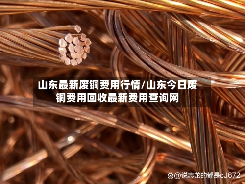 山东最新废铜费用行情/山东今日废铜费用回收最新费用查询网-第1张图片
