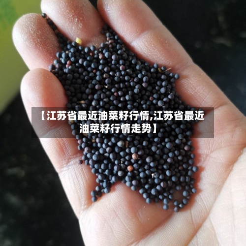 【江苏省最近油菜籽行情,江苏省最近油菜籽行情走势】-第1张图片