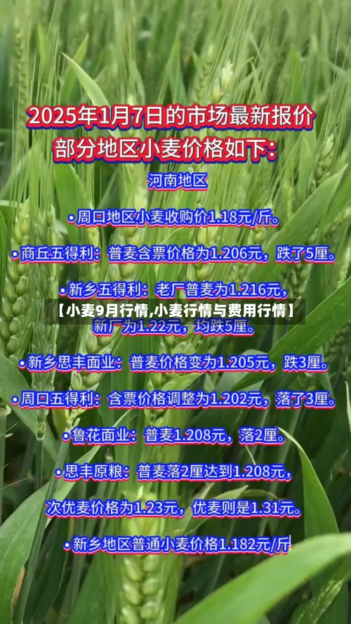 【小麦9月行情,小麦行情与费用行情】-第1张图片