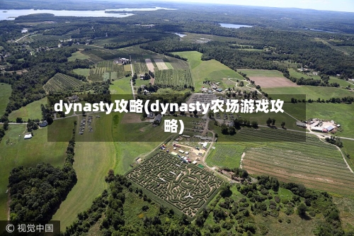 dynasty攻略(dynasty农场游戏攻略)-第1张图片