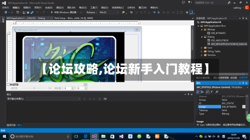 【论坛攻略,论坛新手入门教程】-第1张图片