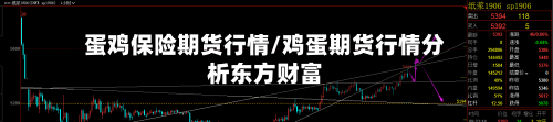 蛋鸡保险期货行情/鸡蛋期货行情分析东方财富-第1张图片