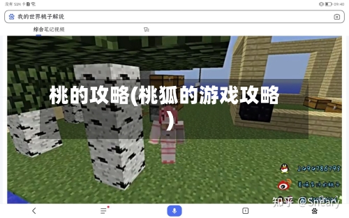 桃的攻略(桃狐的游戏攻略)-第1张图片